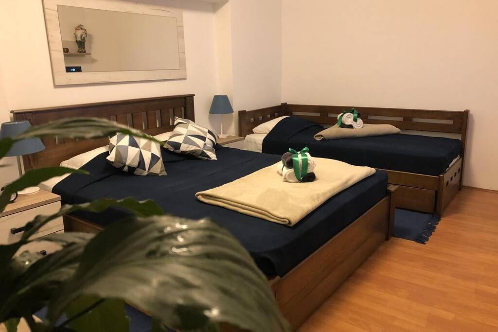 Apartment Balkanska City Center Beograd Bagian luar foto